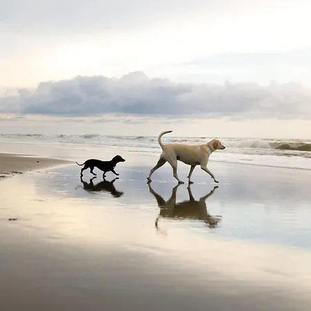 Seasalt Casa vacanze *